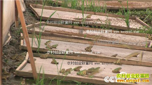 ���˵ĲƸ����ɽ�