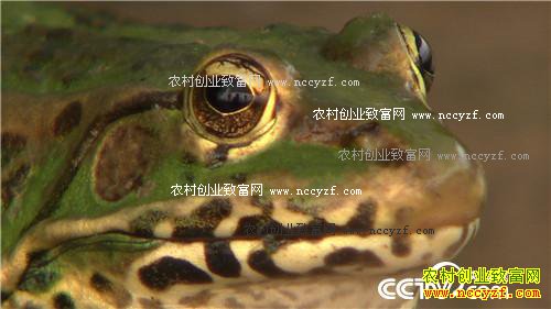 ���˵ĲƸ����ɽ�