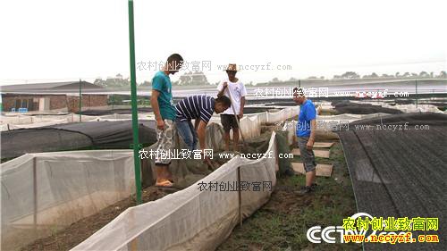 ���˵ĲƸ����ɽ�