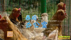 [ÿ��ũ��]Ѱ��׬Ǯ�ĸ���崲�ññ��