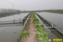 ������ǰ��Ҫ����Щ׼��������