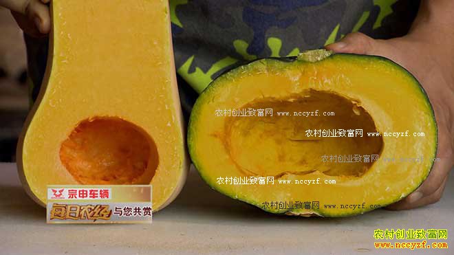 [ÿ��ũ��]���ƺ�«���Ϲ��г���20160902