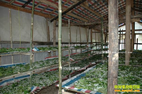 ɽ��۰����˳ǿ����������ƽ���ֲ�һ��Ч��10��Ԫ