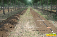 ɽ��۰����֣�쳿��������򾡰һ�����á�