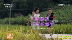 [ÿ��ũ��]��������ˮ�����յ����ܣ���������