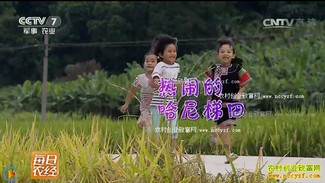 [ÿ��ũ��]��������ˮ�����յ����� 20160906