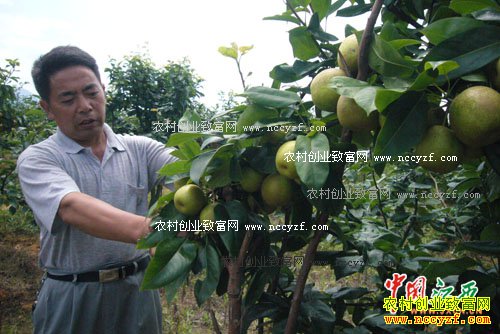 [ÿ��ũ��]��ʱ���� ����۸���