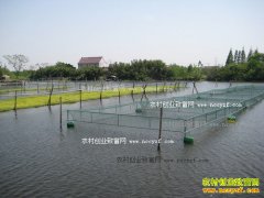 �������֡�����������ƽ����ȫ�������¸�