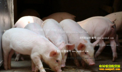 ������������������ֵ600��Ԫ