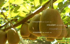 �Ĵ��˱���ѧ������������⨺��������������