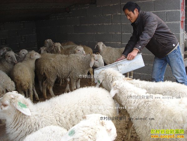 ����᯹������Ϻ�������������һ�������¸�