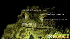 [�¸���]��������Ԭ������������������600��