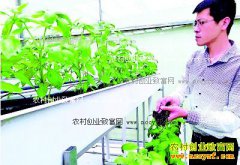 ����ƽ��80��ʿҦ����߲˹����ֳ��ھ���