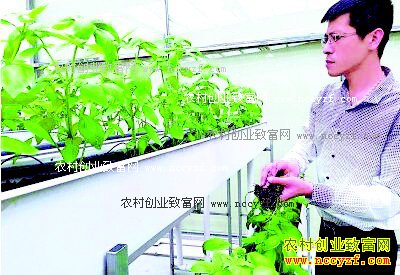 ����ƽ��80��ʿҦ����߲˹����ֳ��ھ���