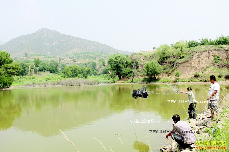 ɽ����̨ɣԺ�壺��ˮ���㿪��·