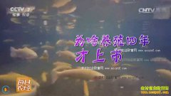 [ÿ��ũ��]����ػͺ�����ɳĮ��������ˮ��