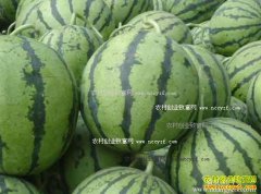 ���ϼ۸����飺���ϼ۸���ѵ��Կ�ʼ����