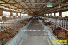 ���ɹſ���ǰ�죺��׼��������ֳ��ũ���¸�������