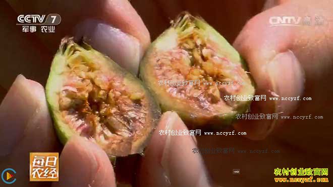 [ÿ��ũ��]�µع�������ŵı���