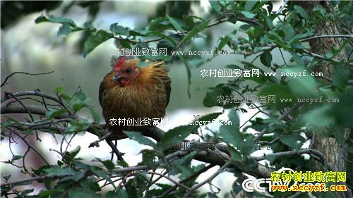 ˦������Ů�˴����ĲƸ�