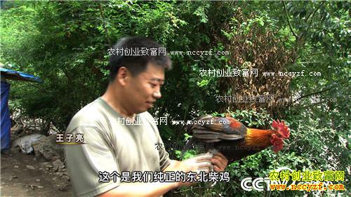 ˦������Ů�˴����ĲƸ�