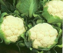 ��˻���ϲ�����ͷ�