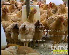 [ũ�����]����Ƽ���ֳ����