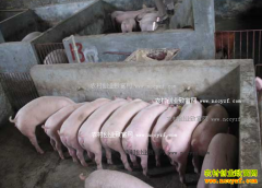 �Ĵ���ˮ�ص���ȫ�����������������߰�ʮ��Ԫ