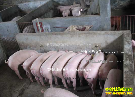 �Ĵ���ˮ�ص���ȫ�����������������߰�ʮ��Ԫ