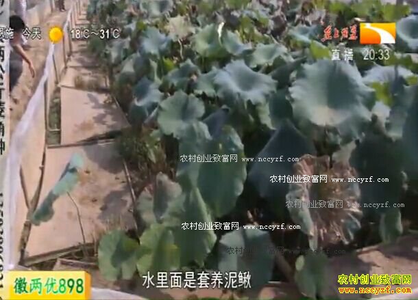 �¸��ð���������Ч��� �İ�λ������ѧϰ