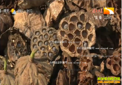 ũ���¸���Ŀ������������ Ķ׬��ǧ��Ԫ