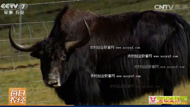 [ÿ��ũ��]�����ס�����ţ����Ǯ 20160919