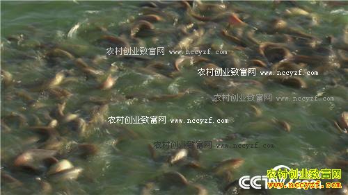 ̨������ץס������ĲƸ�