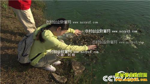 ̨������ץס������ĲƸ�