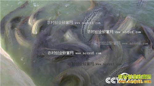 ̨������ץס������ĲƸ�