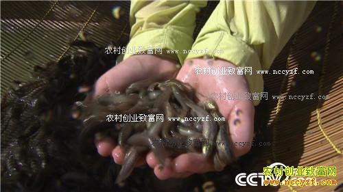 ̨������ץס������ĲƸ�