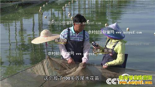 ̨������ץס������ĲƸ�