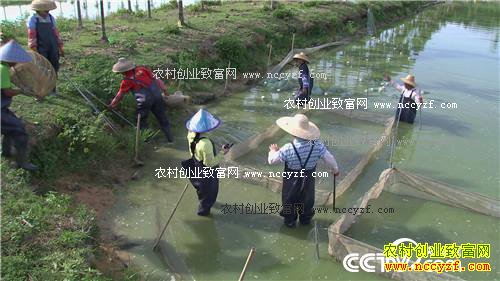 ̨������ץס������ĲƸ�