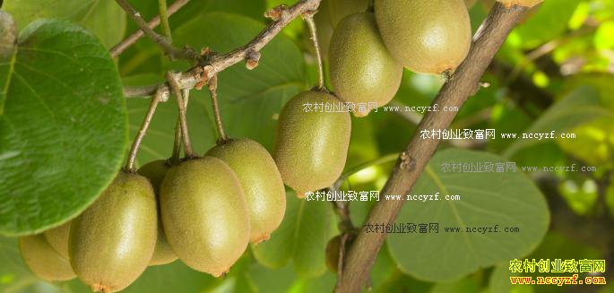 ������ɽ�����鷵�紴ҵ��⨺��Ҵ���������