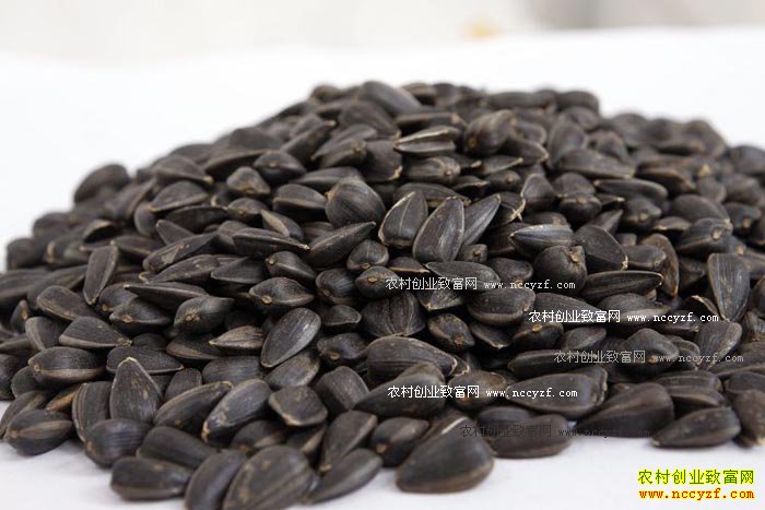 �ӱ����������Ϳ���Ž�Ʒ��ϱ��Ϊ����׬Ǯ