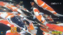 [ũ�����]����������۽���