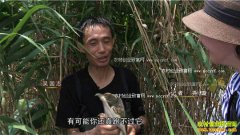 [�¸���]���յ������־�������кβ�ͬ