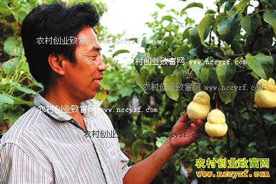 �ӱ�κ����������ֲ�����˲ι�����ɹ�