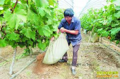 ��ʩ�����＾ʩ�ʼ���