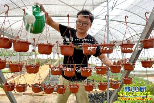 �������ش�ѧ���쳤����������΢�辰��ҵ�¸�