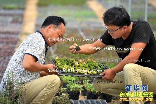 �������ش�ѧ���쳤����������΢�辰��ҵ�¸�