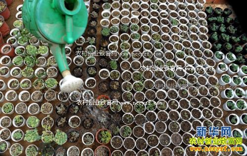 �������ش�ѧ���쳤����������΢�辰��ҵ�¸�