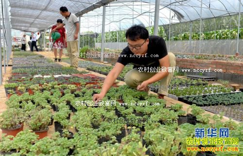 �������ش�ѧ���쳤����������΢�辰��ҵ�¸�