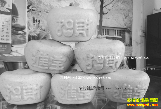 �����������ȫ��ֲԪ����״ɳ���� һֻ��������Ԫ