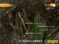 �¸��ð�������̾���������ֳ�¸���